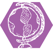 Lorem Ipsum Exhibit Header No. 3 Here